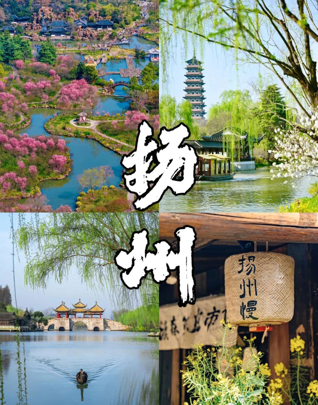 扬州.jpg