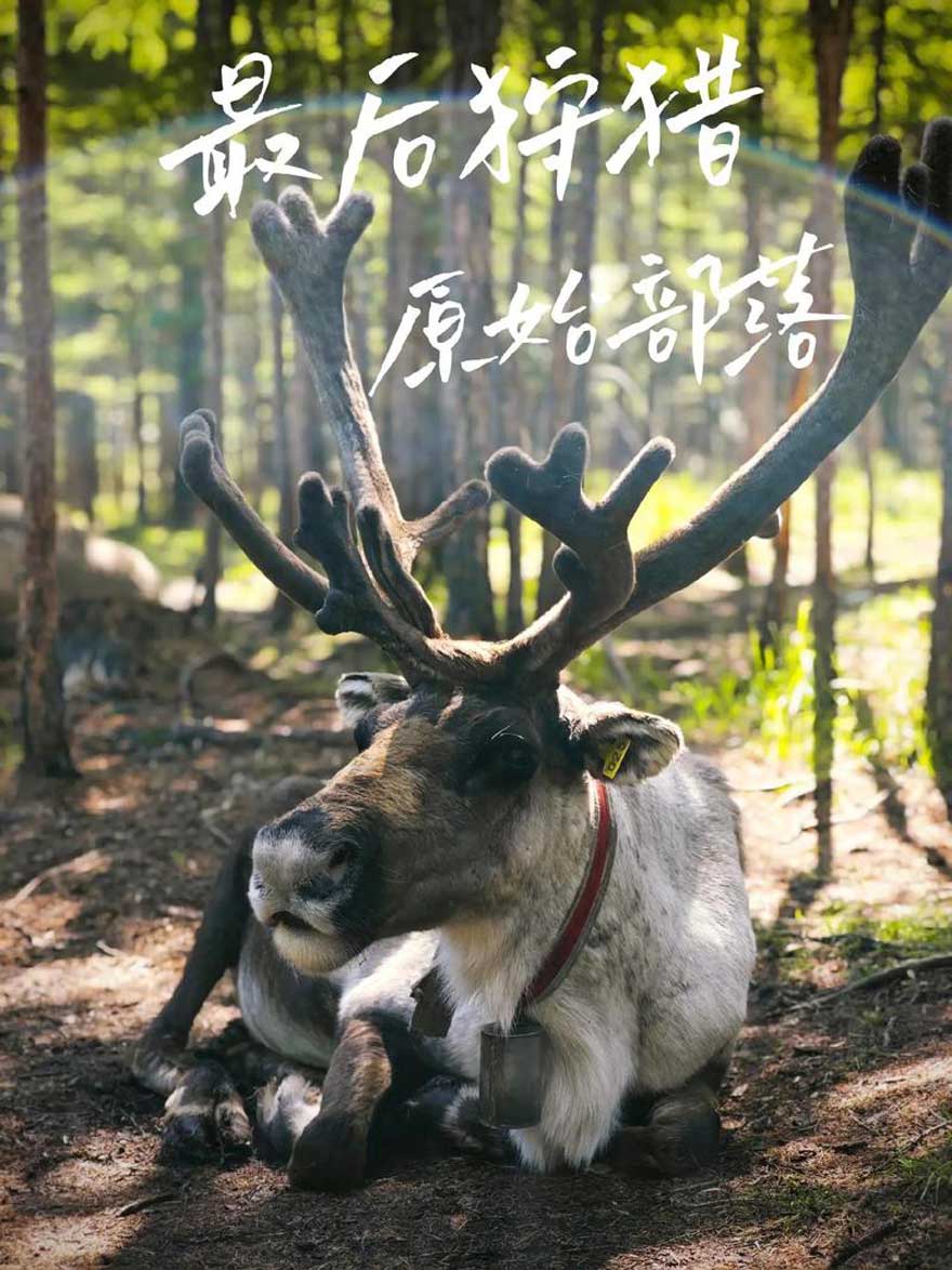 敖鲁古雅使鹿部落.jpg