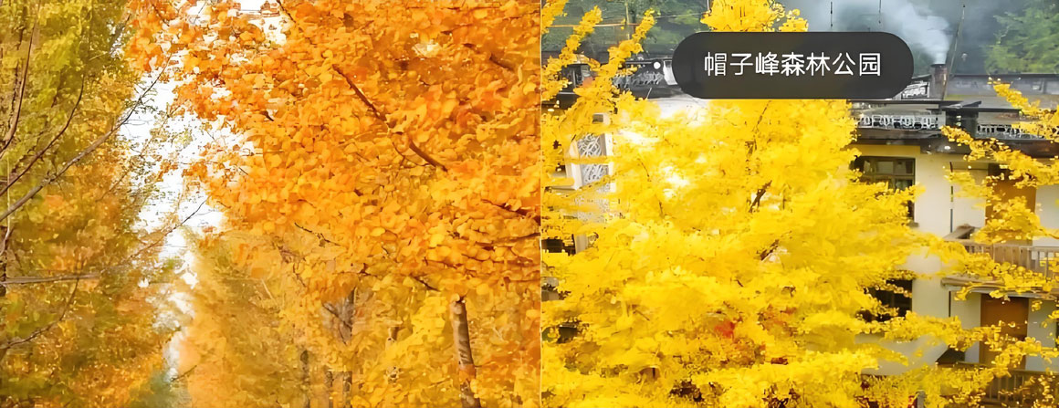 韶关旅游攻略1.jpg