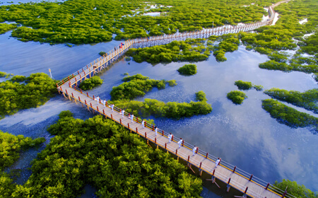 北海金海湾红树林生态旅游区 | 中国十大