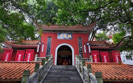 2025年端午节去哪里旅游好？益阳旅游攻略必去五大景点推荐