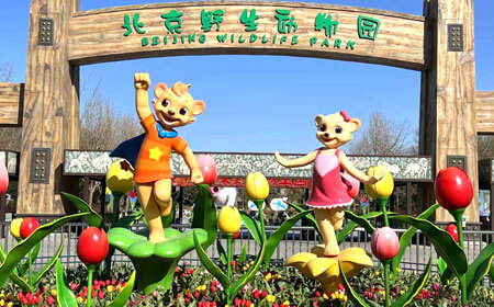 北京野生动物园 | 华北最大生态动物园