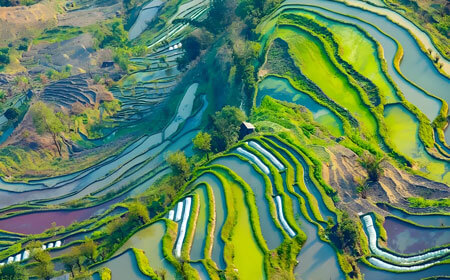红河哈尼族彝族自治州旅游路线怎么规划？红河哈尼族彝族自治州旅游攻略必去景点打卡榜