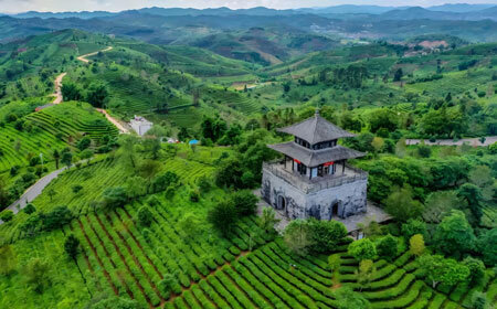普洱旅游路线怎么规划？普洱旅游攻略必去景点打卡榜