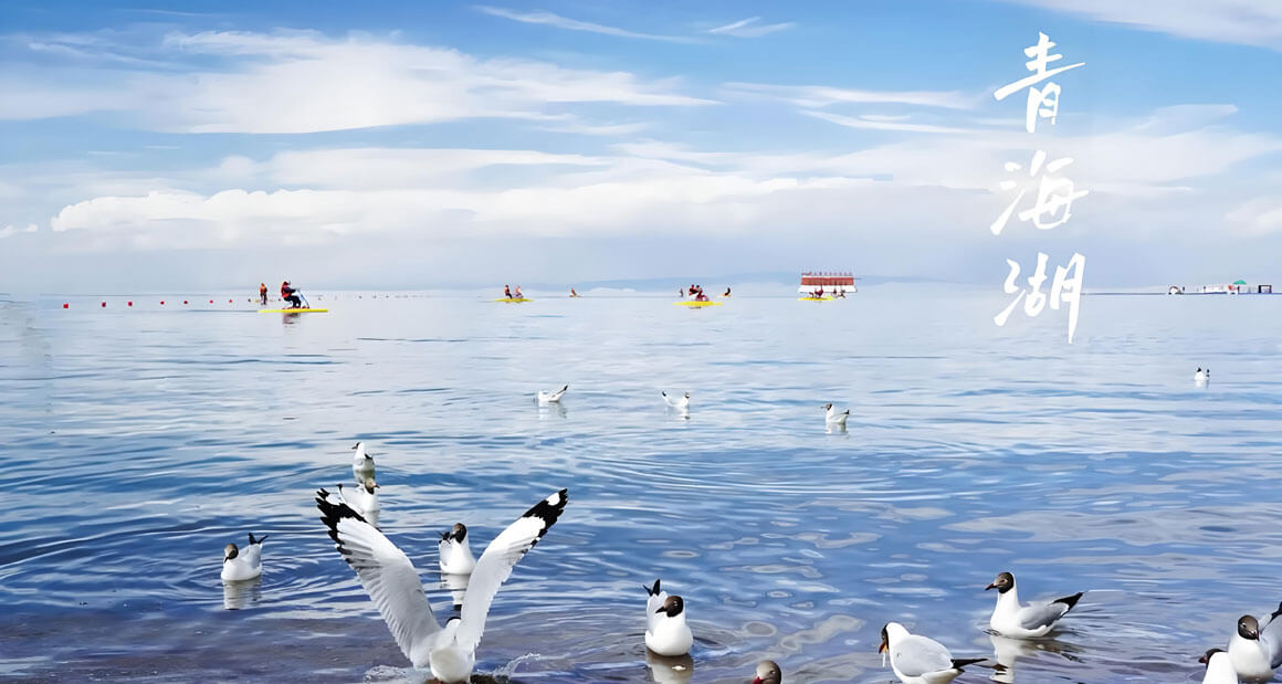 青海青海湖（青海）.jpg
